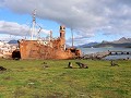 South Georgia, Grytviken, walvisvaarder  
