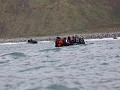 South Georgia, St. Andrews Bay, met de Zodiacs de 