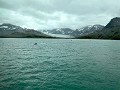South Georgia, St. Andrews Bay, Zodiac tour 