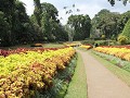 royal botanic gardens van Peradeniya