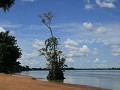 plantage Waterland aan de Suriname rivier