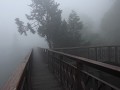 Alishan, wandeling in de mist 