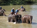 Elephant conservation center, het wassen van de ol