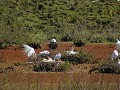 Valle del Lunarejo, vogel uitkijk, rechts de klein
