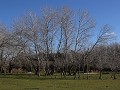 Atlántida, camping Chacra Holandesa