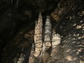 Cueva del Guacharo