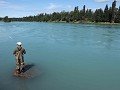 Soldotna, zalmvisser in de Kenai rivier