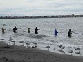 Kenai, dipnetting zalmvissers aan de Kenai rivier 