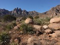 Las Cruces, Organ Mountain Desert Peaks NM, Pine T