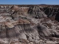 Petrified Forest NP - Historic Blue Forest Trail w
