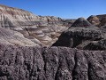 Petrified Forest NP - Historic Blue Forest Trail w