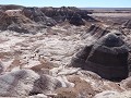 Petrified Forest NP - Historic Blue Forest Trail w