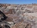 Petrified Forest NP - Historic Blue Forest Trail w