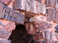Petrified Forest NP - Agate House wandeling