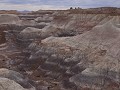Petrified Forest NP - Blue Mesa -  Blue Forest ron