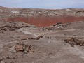 Petrified Forest NP - Onyx Bridge wandeling