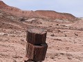 Petrified Forest NP - Onyx Bridge wandeling, steen