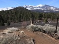 Sunset Crater Volcano NM