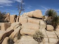 Hidden Valley, Joshua Tree NP