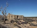 Rock Spring, Mojave National Preserve