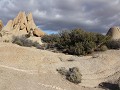 Skull Rock wandeling, Joshua Tree NP