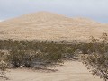 Kelso Dunes van onze BLM slaapplaats, Mojave Natio
