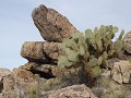 Teutonia Peak wandeling, Mojave National Preserve