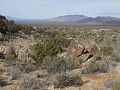 Teutonia Peak wandeling, Mojave National Preserve