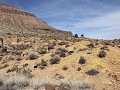 Barber Peak rondwandeling, Mojave National Preserv