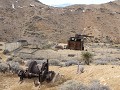 Lost Horse Mine, Joshua Tree NP