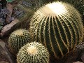 United States Botanic Garden