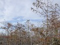 Everglades NP, Pa-Hay-Okee wandeling