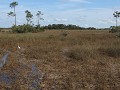 Everglades NP, Mahogany Hammock wandeling