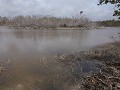 Everglades NP, Eco Pond