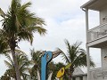 The Florida Keys, Key West, overal kleur in de str