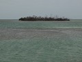 The Florida Keys