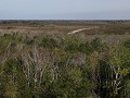 Everglades NP, Shark Valley, Tram Trail traject in