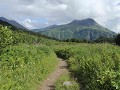 Carter Lake trail, Seward Hwy