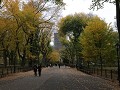 New York City, Manhattan - Central Park