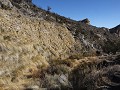 Red Rock Canyon, La Madre Spring , grassen groeien