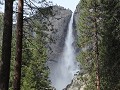 Yosemite NP - Yosemite Valley, Yosemite Fall