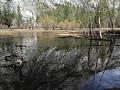 Yosemite NP - Yosemite Valley, ijs op Mirror Lake