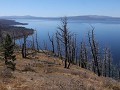 Yellowstone NP - Lake Butte Overlook