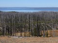 Yellowstone NP - Lake Butte Overlook