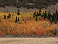 onderweg in Utah, herfstkleuren tussen Bear Lake e
