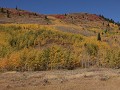 herfstkleuren onderweg in Wyoming