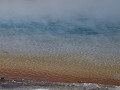 Yellowstone NP - Black Sand Basin