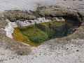 Yellowstone NP - Biscuits Basin