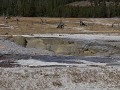 Yellowstone NP - Biscuits Basin