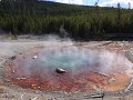 Yellowstone NP - Norris Geyser Basin